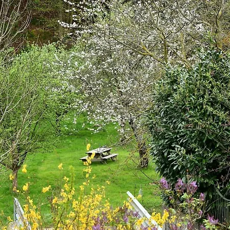 L'essentiel Proche Kaysersberg&lacblanc Hébergement de vacances *