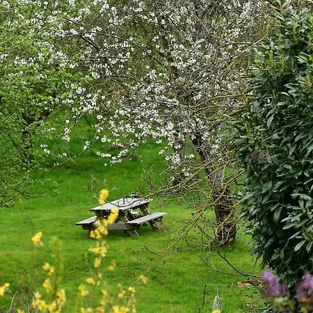 L'essentiel Proche Kaysersberg&lacblanc * Orbey